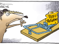 taxreform